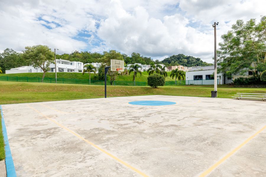 Urb Caguas Real Calle Alcazar A-34, Caguas - 25