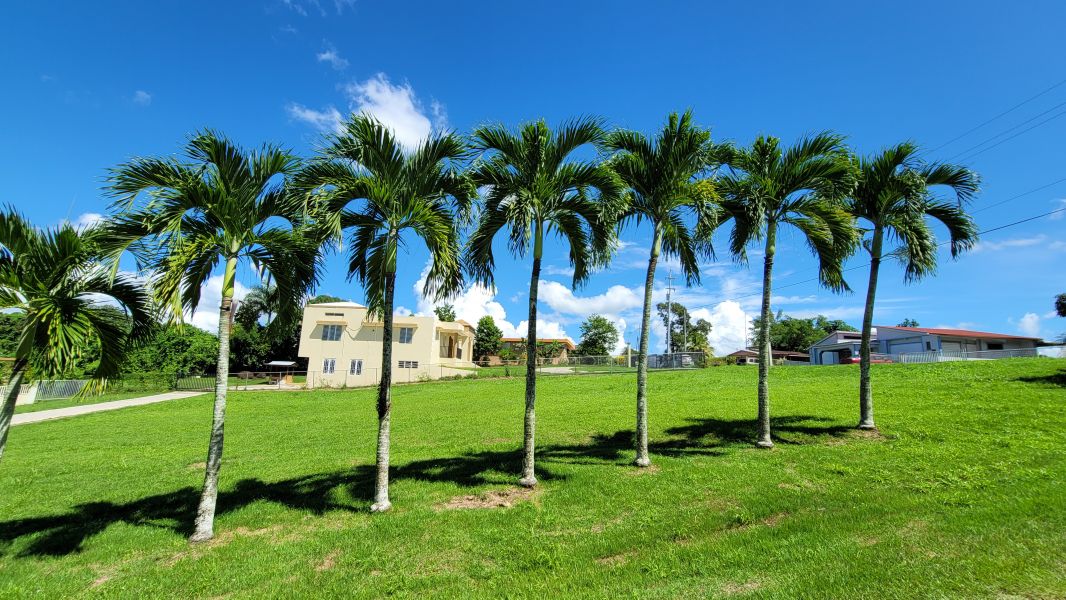 Bo Pozas Solar 3 Carr 111 Sect Puente Nuevo San Sebastian 00685 PR