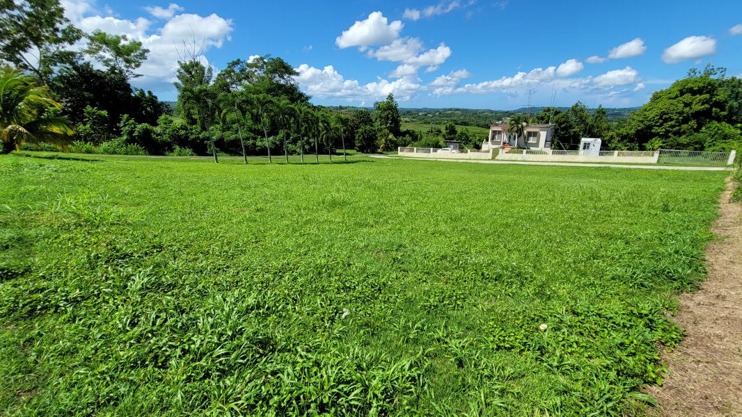 Bo Pozas Solar 3 Carr 111 Sect Puente Nuevo San Sebastian 00685 PR