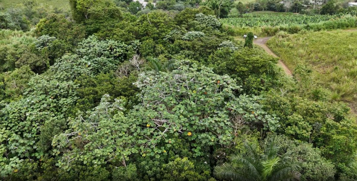 Pr-152r Km 0.2 Int Bo Helechal Barranquitas 00794 PR