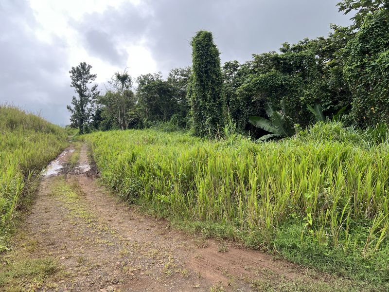 Pr-152r Km 0.2 Int Bo Helechal Barranquitas 00794 PR