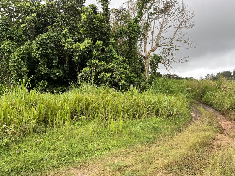 Pr-152r Km 0.2 Int Bo Helechal Barranquitas 00794 PR