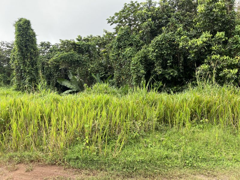 Pr-152r Km 0.2 Int Bo Helechal Barranquitas 00794 PR