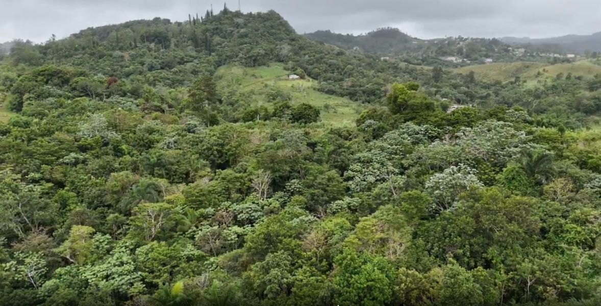 Pr-152r Km 0.2 Int Bo Helechal Barranquitas 00794 PR