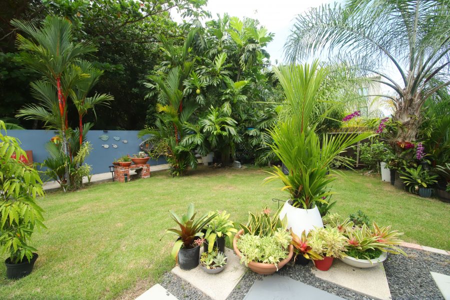 Bo Las Picuas Finca 23 Solar 7 Rio Grande 00745 PR