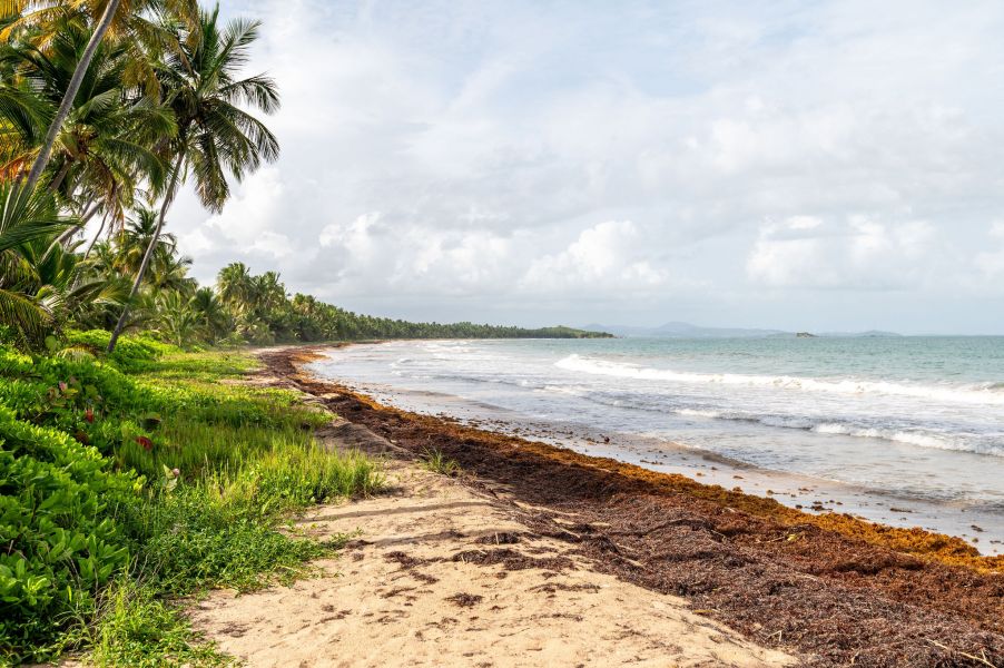 551 Zaragoza Marbella Club Humacao 00791 PR