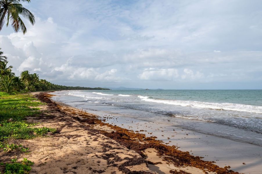 551 Zaragoza Marbella Club Humacao 00791 PR