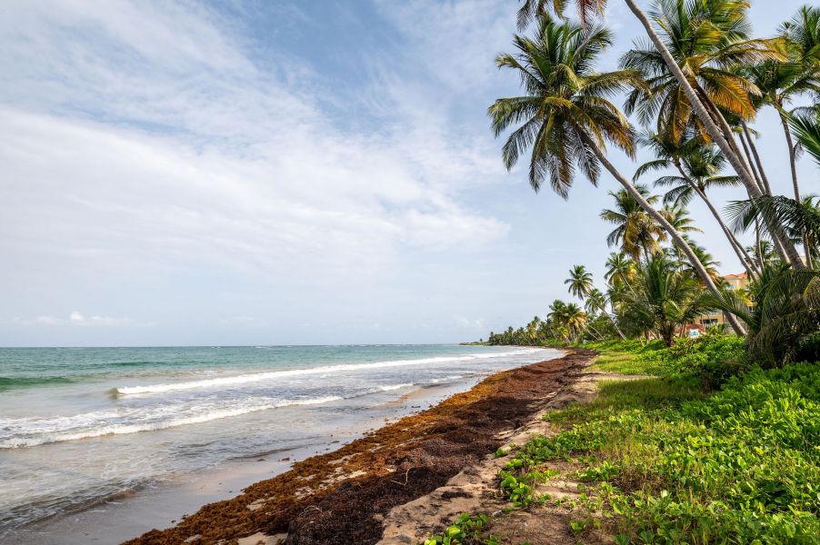 551 Zaragoza Marbella Club Humacao 00791 PR