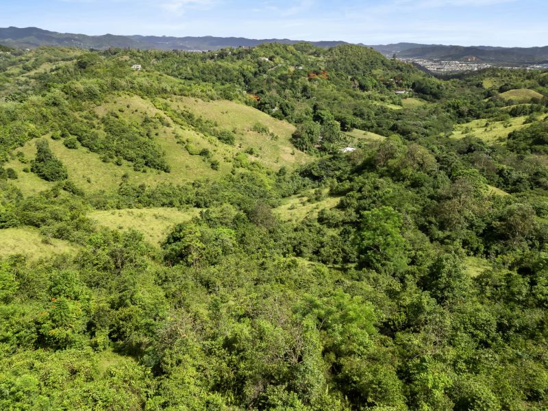 Carretera 788 Km 2.1 Bo Tomas De Castro I Sector L, Caguas - 19