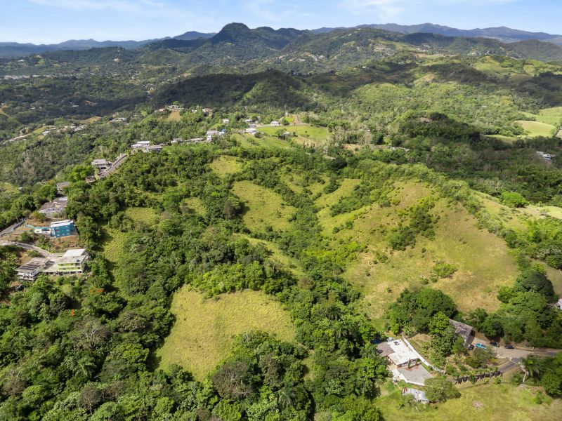 Carretera 788 Km 2.1 Bo Tomas De Castro I Sector L, Caguas - 10