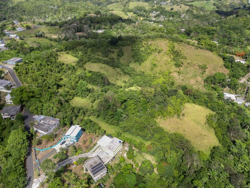 Carretera 788 Km 2.1 Bo Tomas De Castro I Sector L, Caguas - 13