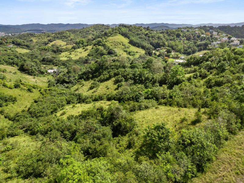 Carretera 788 Km 2.1 Bo Tomas De Castro I Sector L, Caguas - 15