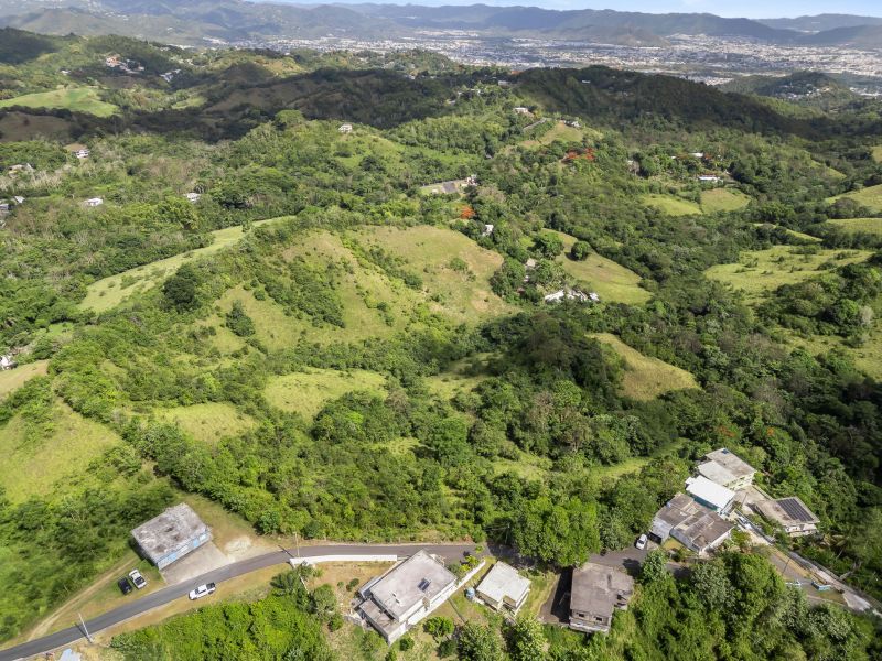 Carretera 788 Km 2.1 Bo Tomas De Castro I Sector L, Caguas - 14