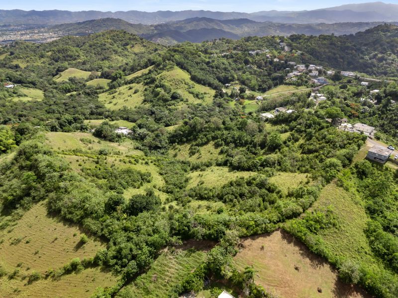 Carretera 788 Km 2.1 Bo Tomas De Castro I Sector L, Caguas - 9