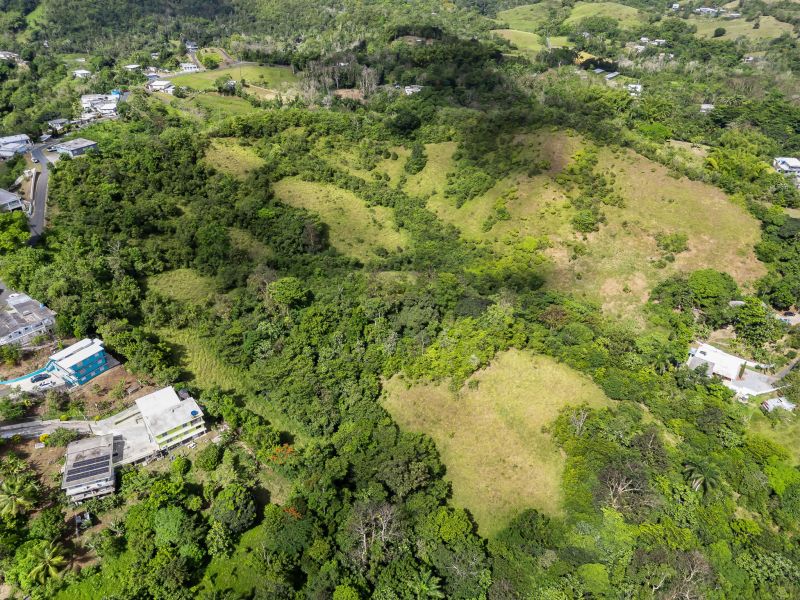 Carretera 788 Km 2.1 Bo Tomas De Castro I Sector L, Caguas - 18