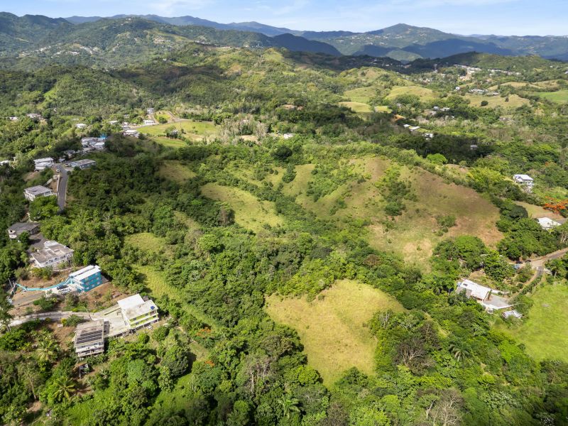 Carretera 788 Km 2.1 Bo Tomas De Castro I Sector L, Caguas - 11