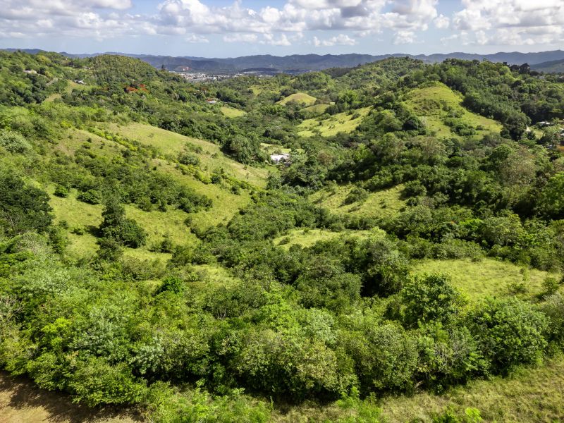 Carretera 788 Km 2.1 Bo Tomas De Castro I Sector L, Caguas - 16