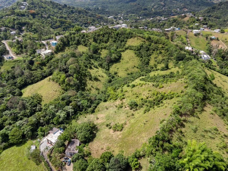 Carretera 788 Km 2.1 Bo Tomas De Castro I Sector L, Caguas - 8