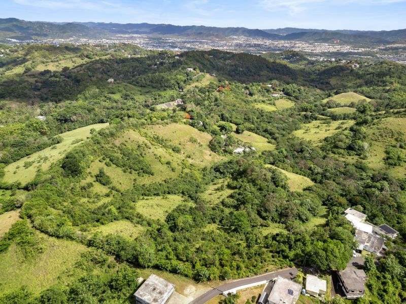 Carretera 788 Km 2.1 Bo Tomas De Castro I Sector L, Caguas - 6