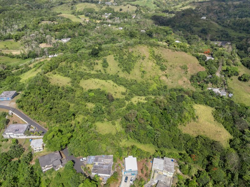 Carretera 788 Km 2.1 Bo Tomas De Castro I Sector L, Caguas - 7