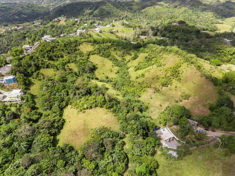 Carretera 788 Km 2.1 Bo Tomas De Castro I Sector L, Caguas - 17