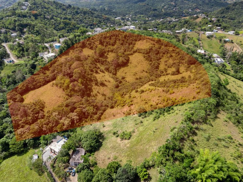 Carretera 788 Km 2.1 Bo Tomas De Castro I Sector L, Caguas - 2