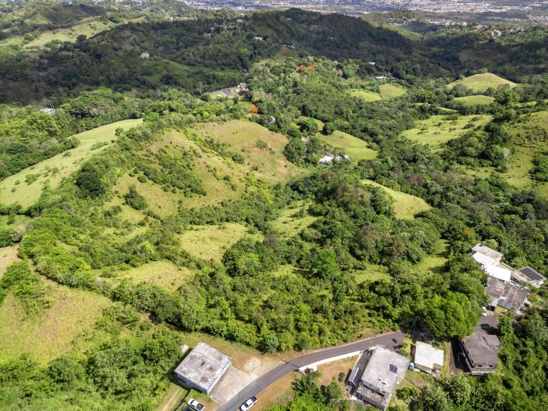 Carretera 788 Km 2.1 Bo Tomas De Castro I Sector L, Caguas - 5