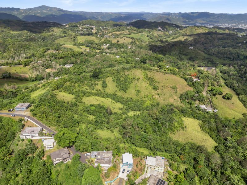 Carretera 788 Km 2.1 Bo Tomas De Castro I Sector L, Caguas - 12