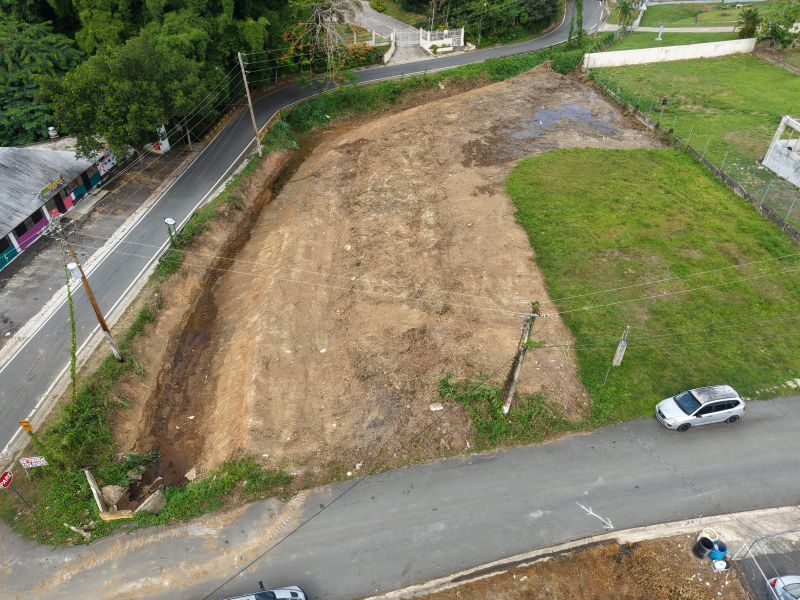 Bo Quebrada Cruz Parc 1 A Toa Alta 00953 PR