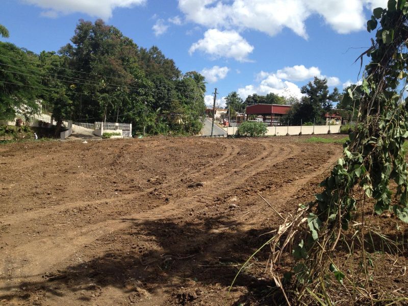 Bo Quebrada Cruz Parc 1 A Toa Alta 00953 PR