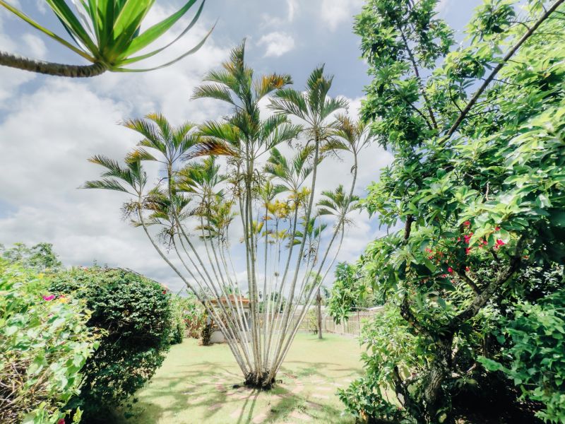 Bo Retiro #1 Urb San Ramon Calle Principal Final 3 San German 00683 PR