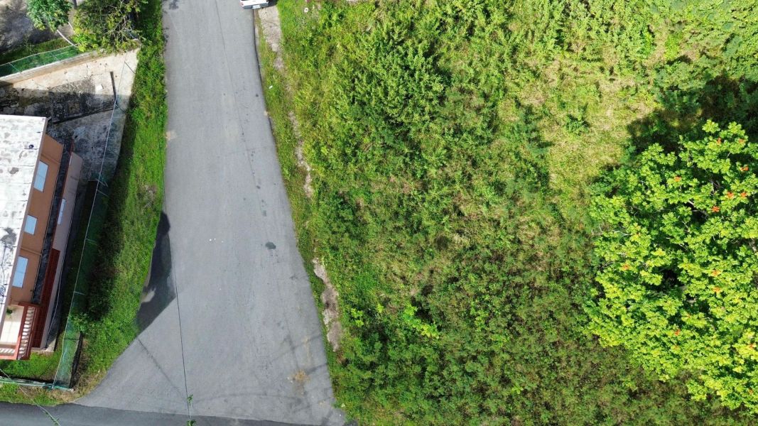 Bo Almirante Sur Carr 160 Vega Baja 00693 PR