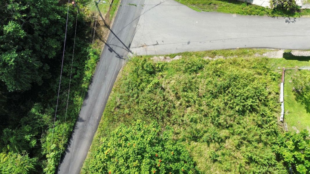 Bo Almirante Sur Carr 160 Vega Baja 00693 PR