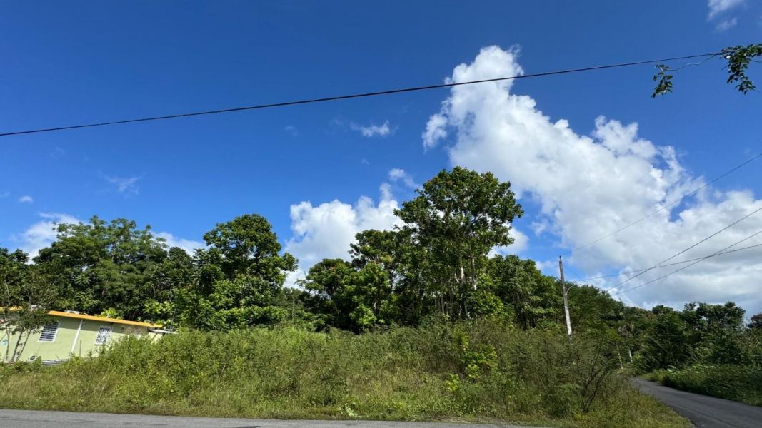 Bo Almirante Sur Carr 160 Vega Baja 00693 PR