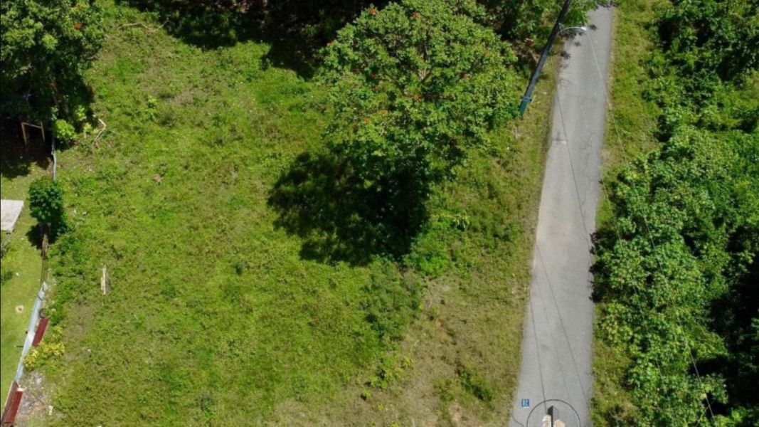 Bo Almirante Sur Carr 160 Vega Baja 00693 PR