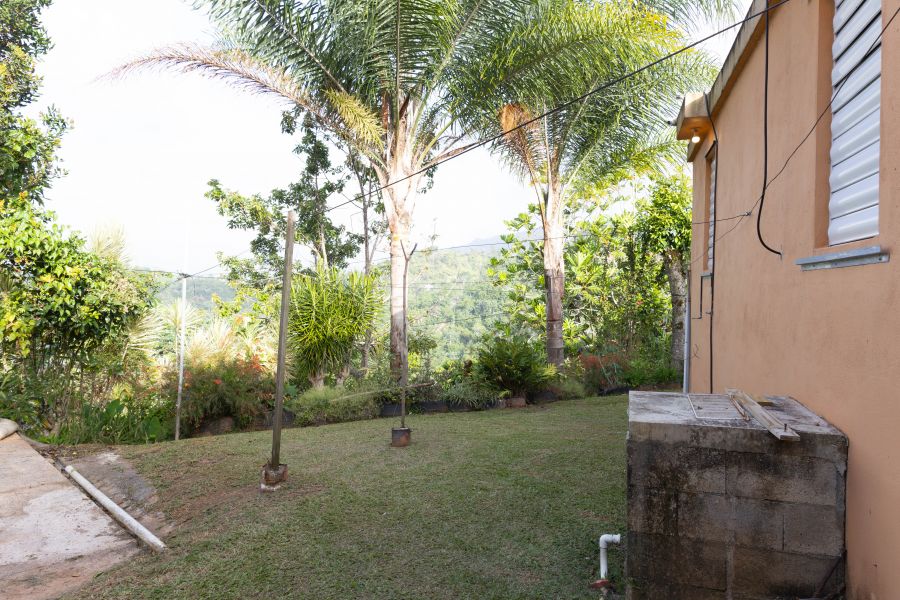 Carr 523 Km 2 H.3 Bo Juan Gonzalez, Adjuntas - 16