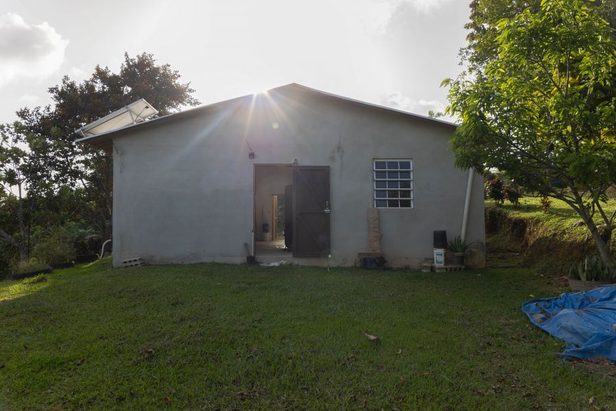 Carr 523 Km 2 H.3 Bo Juan Gonzalez, Adjuntas - 25