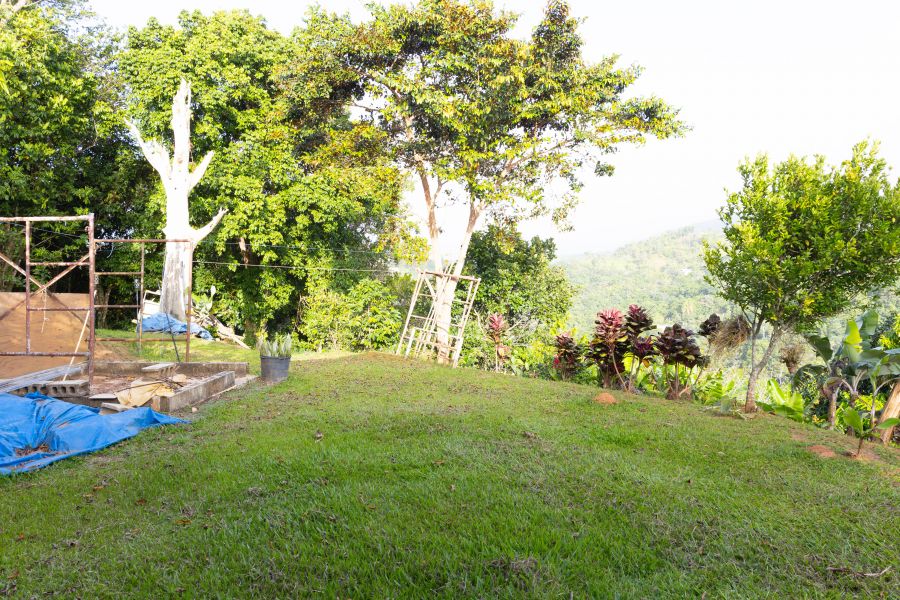 Carr 523 Km 2 H.3 Bo Juan Gonzalez, Adjuntas - 17