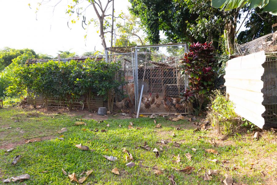 Carr 523 Km 2 H.3 Bo Juan Gonzalez, Adjuntas - 19