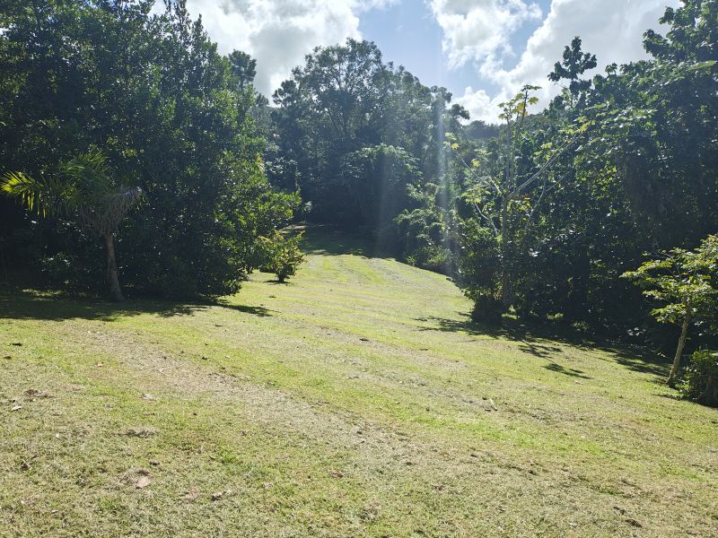 Barrio Cubuy Sector Ava Flores Carr 186 Km.hm 9.6 Canovanas 00729 PR