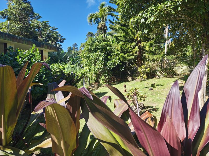 Barrio Cubuy Sector Ava Flores Carr 186 Km.hm 9.6 Canovanas 00729 PR