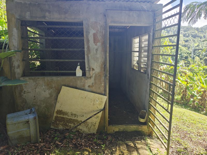 Barrio Cubuy Sector Ava Flores Carr 186 Km.hm 9.6 Canovanas 00729 PR