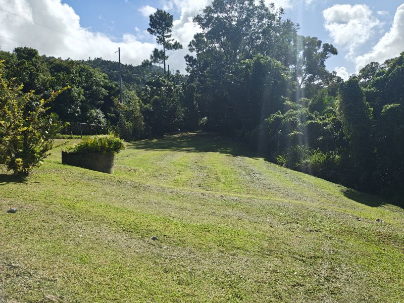 Barrio Cubuy Sector Ava Flores Carr 186 Km.hm 9.6 Canovanas 00729 PR