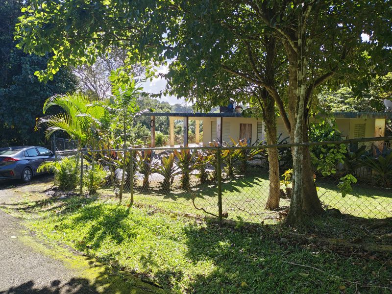 Barrio Cubuy Sector Ava Flores Carr 186 Km.hm 9.6 Canovanas 00729 PR