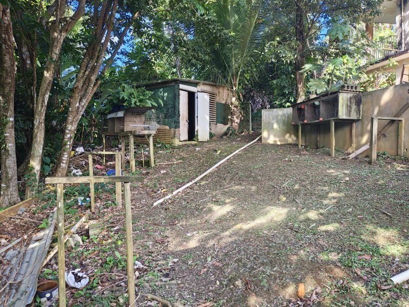 Barrio Cubuy Sector Ava Flores Carr 186 Km.hm 9.6 Canovanas 00729 PR