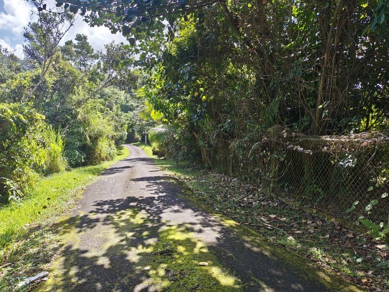 Barrio Cubuy Sector Ava Flores Carr 186 Km.hm 9.6 Canovanas 00729 PR