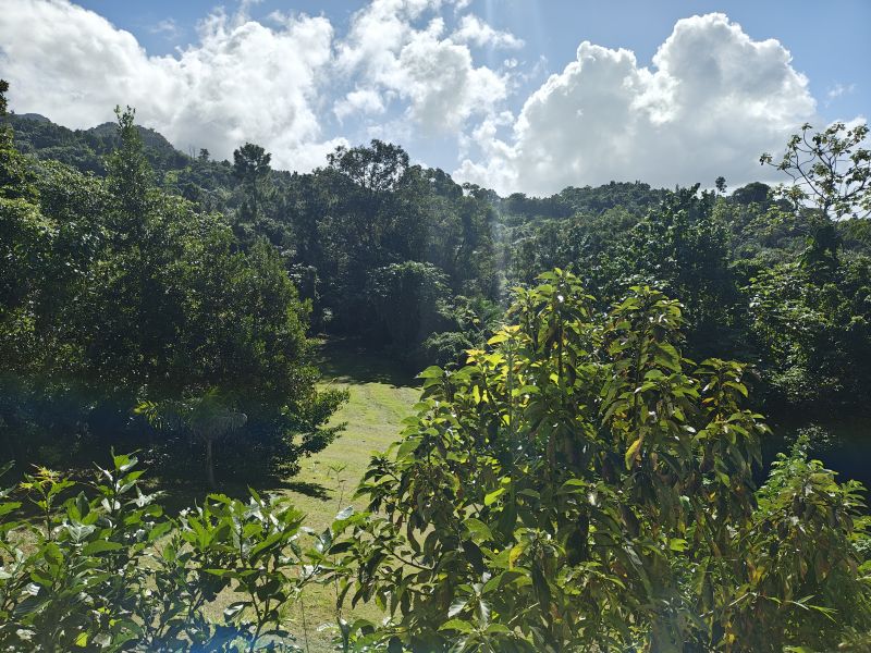 Barrio Cubuy Sector Ava Flores Carr 186 Km.hm 9.6 Canovanas 00729 PR