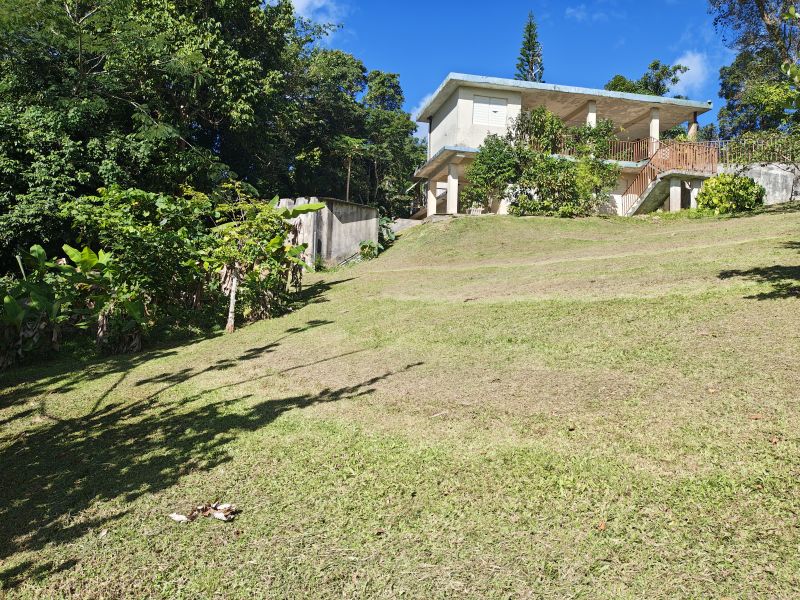 Barrio Cubuy Sector Ava Flores Carr 186 Km.hm 9.6 Canovanas 00729 PR