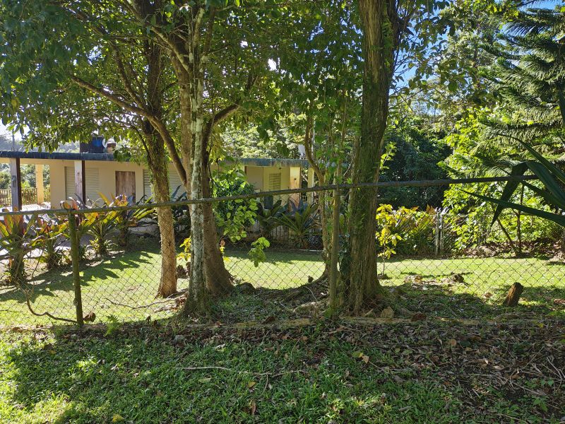 Barrio Cubuy Sector Ava Flores Carr 186 Km.hm 9.6 Canovanas 00729 PR