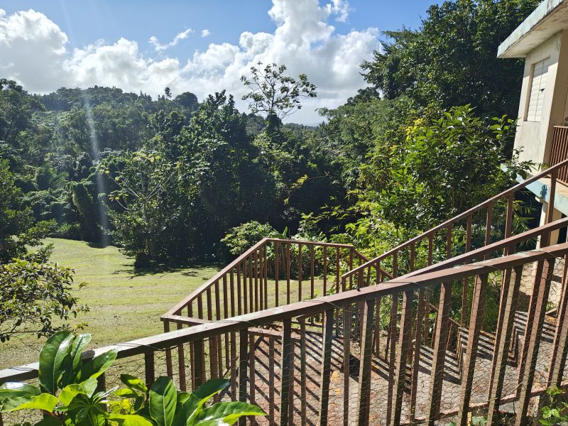 Barrio Cubuy Sector Ava Flores Carr 186 Km.hm 9.6 Canovanas 00729 PR